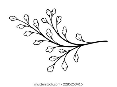 Line art branch. Part of tree or bushes. Garden, forest and jungle. Floristry, botany and biology. Sketch for tattoo. Poster or banner for website. Cartoon flat vector illustration
