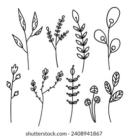 Line art branch vector icons set. Botanical elements isolated on white background. Decoration, invitations, logo, collage.