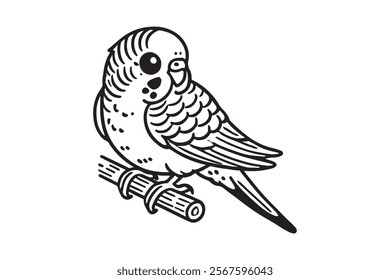 Line art of Budgerigar vector . This is a editable file .