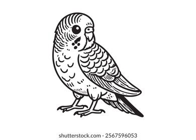 Line art of Budgerigar vector . This is a editable file .