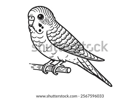 Line art of Budgerigar vector . This is a editable file .