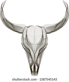 Line art bull skull vector