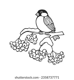 Line art, bullfinch bird on a snowy rowan branch. Illustration for coloring book, vector	
