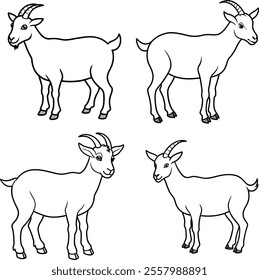 line art bundle goat and illustrator