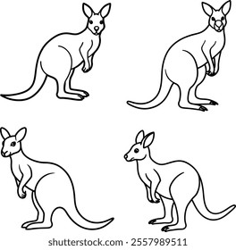 line art bundle kangroo and illustrator