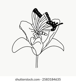 Line art of a butterfly resting on a flower. Simple, elegant butterfly and flower illustration. Black and white butterfly and flower drawing. Line art illustration vector.