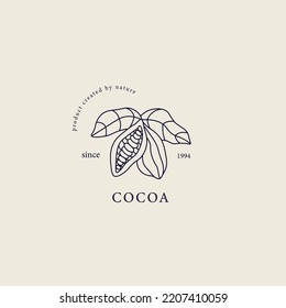 Line art cacao logo. Botanical design