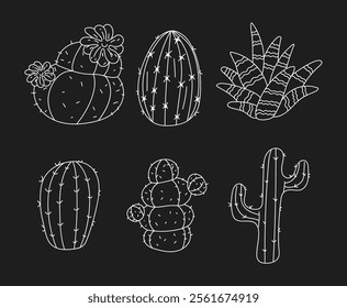 Line art cactus hand drawn desert sketch plant cacti isolated set. Vector flat graphic design illustration