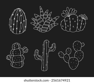 Line art cactus hand drawn desert sketch plant cacti isolated set. Vector flat graphic design illustration