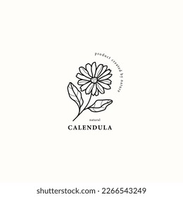 Line art calendula flower illustration