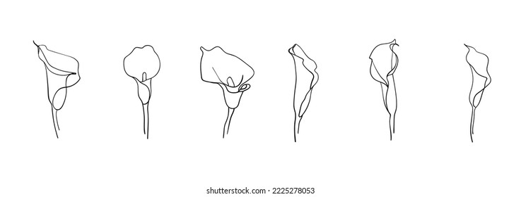 Line art Callas set on white background. Vector Callas flowers outline design. Calla Lily clipart illustration