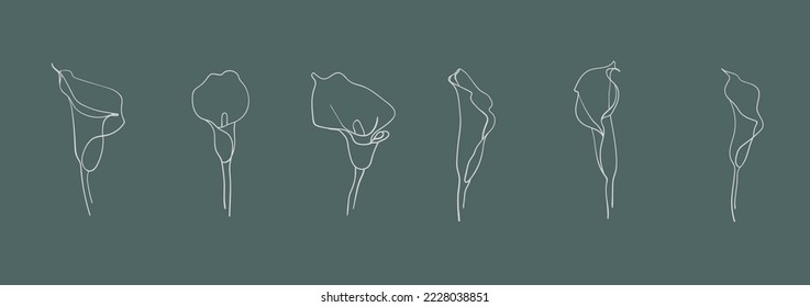 Line art Callas set on green background. Vector Callas flowers outline design. Calla Lily clipart illustration