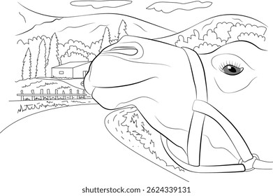 Line Art of Camel Face with Rural Landscape and House, Detailed black and white line art illustration featuring a close-up view of a camel's face with a bridle, set against a background depicting a