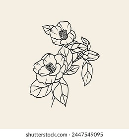 Line art camellia branch illustration