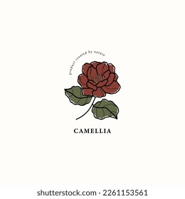 Line art camellia flower drawing