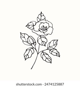 Line art camellia flower drawing