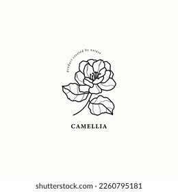 Line art camellia flower illustration