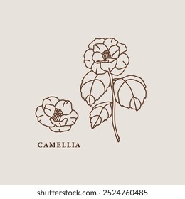 Ilustração de flores de camélias de arte de linha