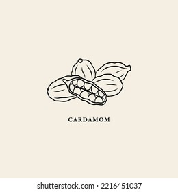 Line art cardamom pods illustration