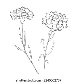 Line Art Carnation. Birth Month Flower. Vector Logo.