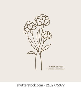 Line art carnation flower illustration