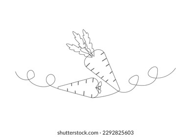 Line art carrot. Continuous line one drawing. Organic food. Vector illustration.