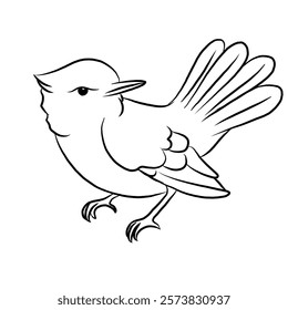 line art cartoon bird isolated on white background. Aves animals