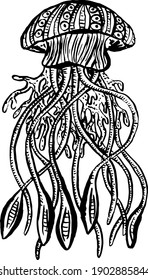 Line Art Cartoon Jellyfish Octopus Deep Sea Creatures Vector