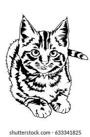 Line Art Cat