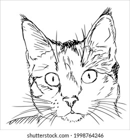 Line art cat pictures for coloring