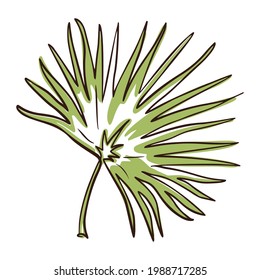 Line Art Chamaerops Leaf. Handgezeichnetes tropisches Blatt für Logo, Emblem-Vorlage, Web, Drucke, Spa, Kosmetik, Schönheitspflegeprodukte