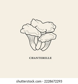 Line art chanterelle mushroom illustration