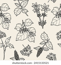 Line art Chinese herbs background. Alangium chinense, Korean mint, anemone, angelica