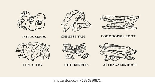 Line art Chinese herbs collection