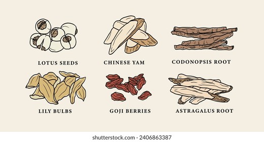 Line art Chinese herbs set