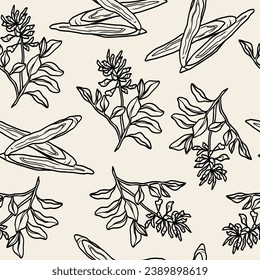 Line art Chinese liquorice or Glycyrrhiza uralensis background