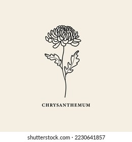 Line art chrysanthemum flower illustration