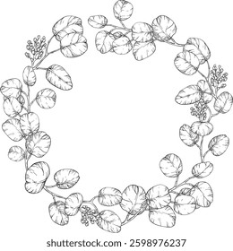 Line art circular wreath made of Eucalyptus leaves and Foliage