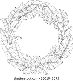 Line art circular wreath made of Tropical vector banana palm leaves background