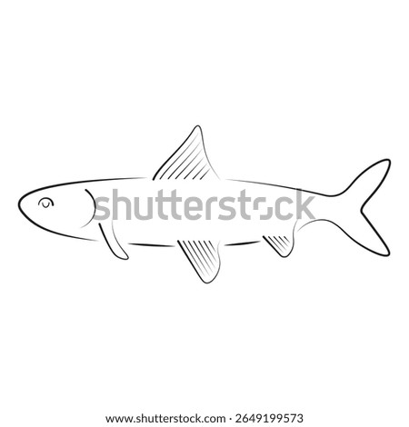 Line art of a cisco fish with fins and slender body, great for freshwater fish guides, educational visuals, scientific charts, or wildlife vector sets.