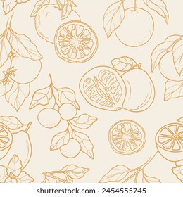 Line art citrus fruits background. Lemon, bitter orange, yuzu, pomelo, clementine, mandarin