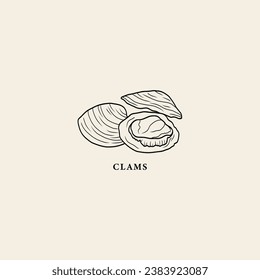 Line art clams illustration. Seafood drawing