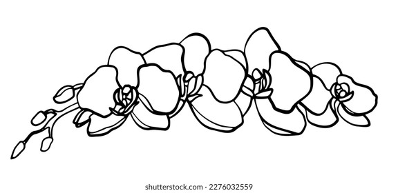 Line art clipart with orchid flower, vector illustration
