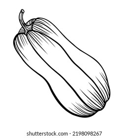Line art clipart with pumpkin, vector 