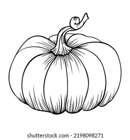 Line art clipart with pumpkin, vector 