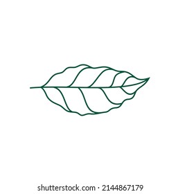 Ilustración vectorial del logotipo de la hoja de café de arte de línea Ilustración vectorial