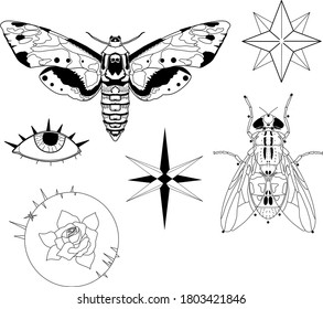 Line art collection with fly, moth, geometric stars, rose and eye. 