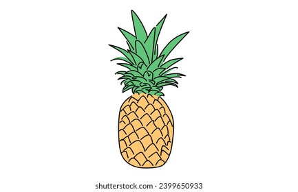 Line art color of Pineapple vector illustration