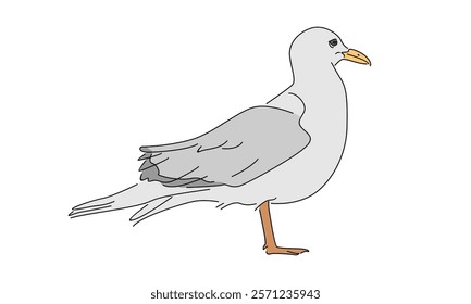 line art color of seagull illustration