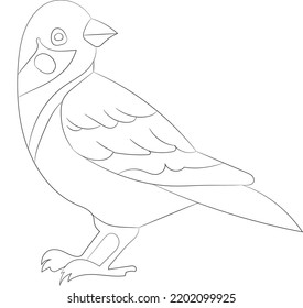 line art coloring book sparrow bird kid